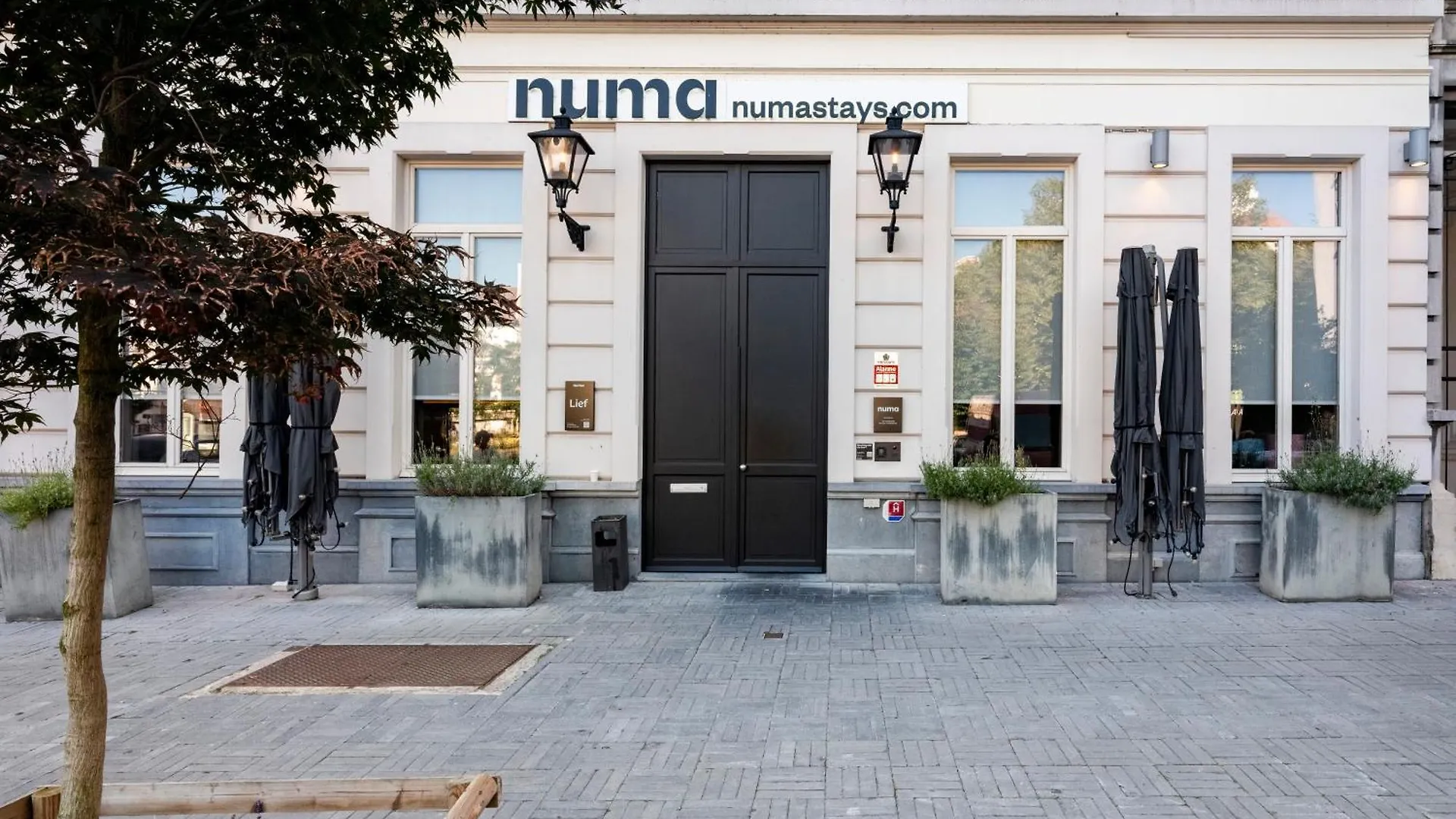 **** شقة فندقية الشقق الفندقية Numa Brussels Lief بلجيكا